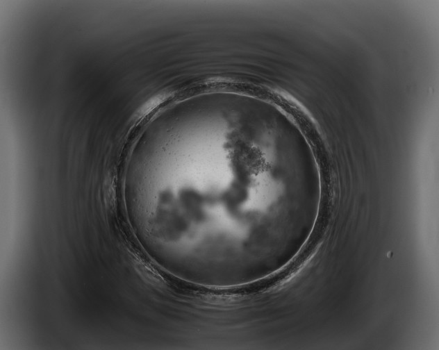 X0000085750921200703231129