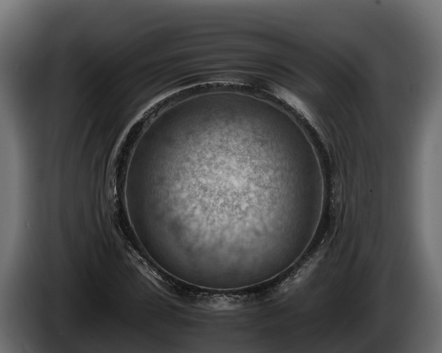 X0000085750923200703231129