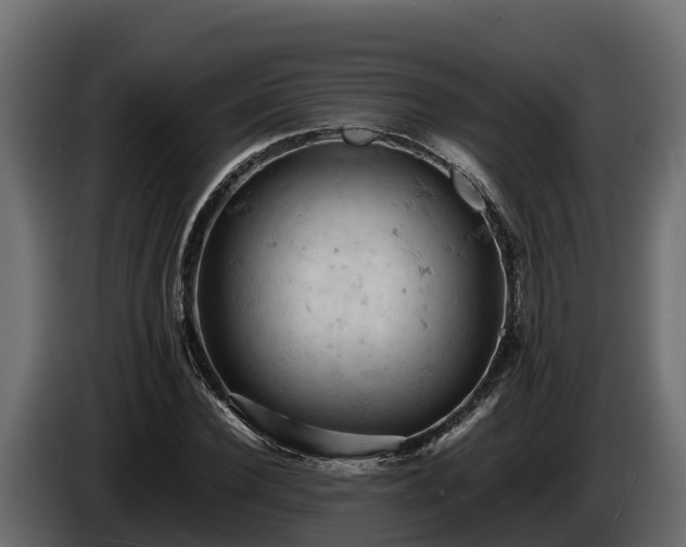 X0000085750924200703231129