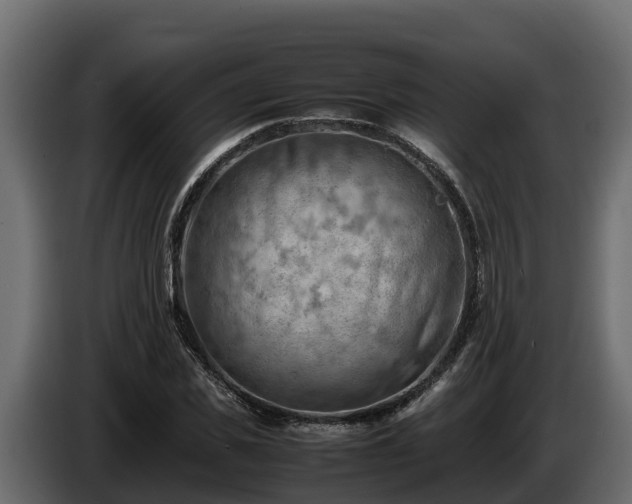 X0000085750925200703231129