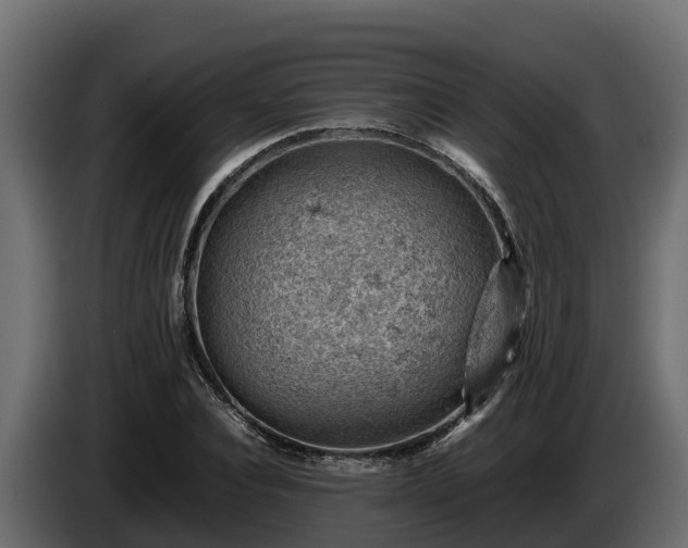 X0000085750928200703231129