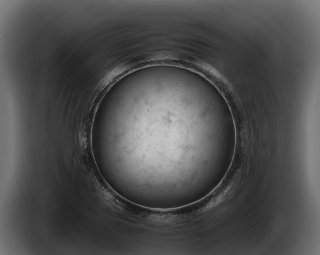 X0000085750929200703231129