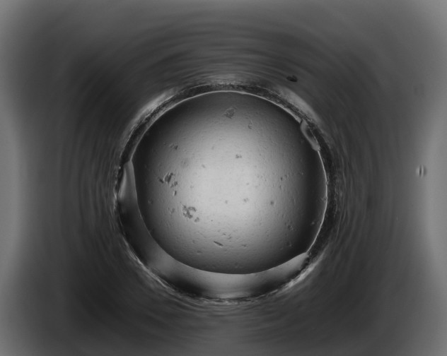 X0000085750930200703231129
