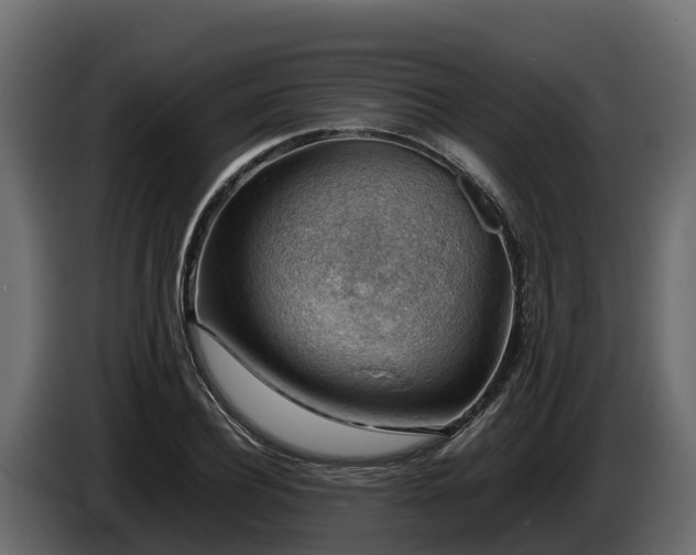 X0000085750932200703231129