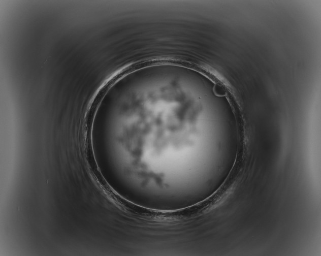 X0000085750933200703231129
