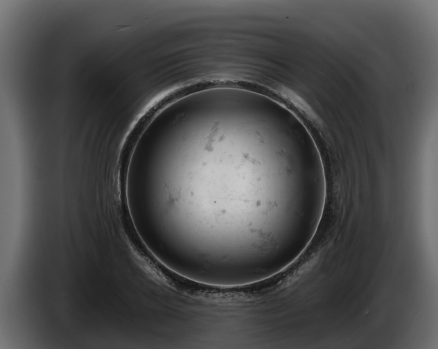 X0000085750934200703231129