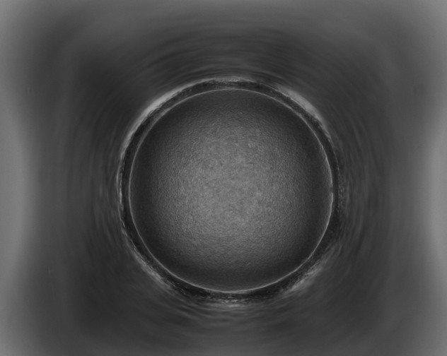X0000085750935200703231129