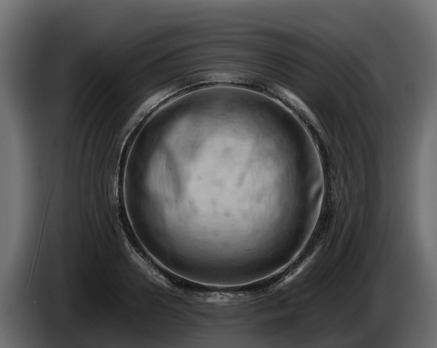X0000085750938200703231129