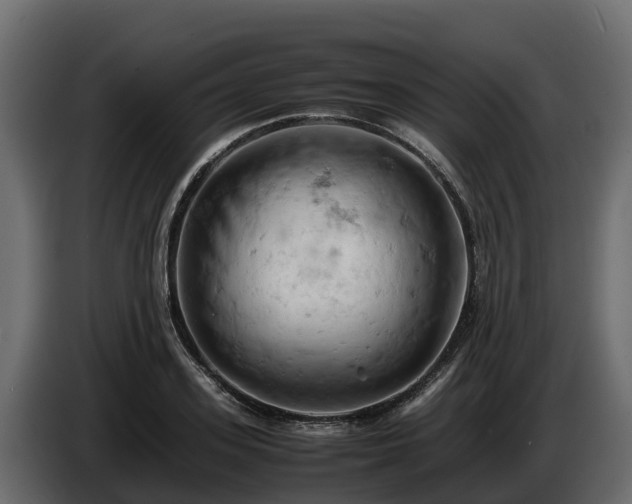 X0000085750939200703231129