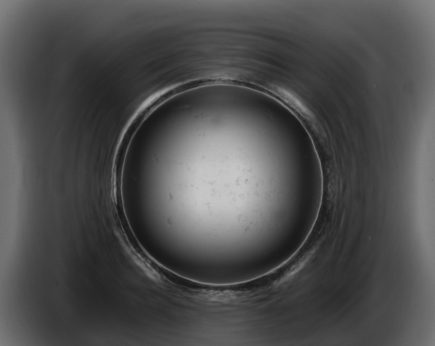 X0000085750940200703231129