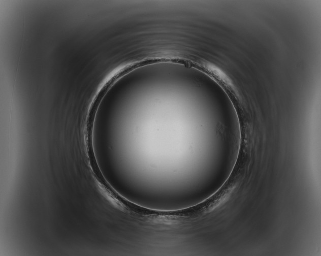 X0000085750942200703231129