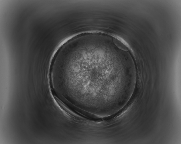 X0000085750943200703231129