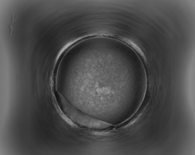 X0000085750944200703231129