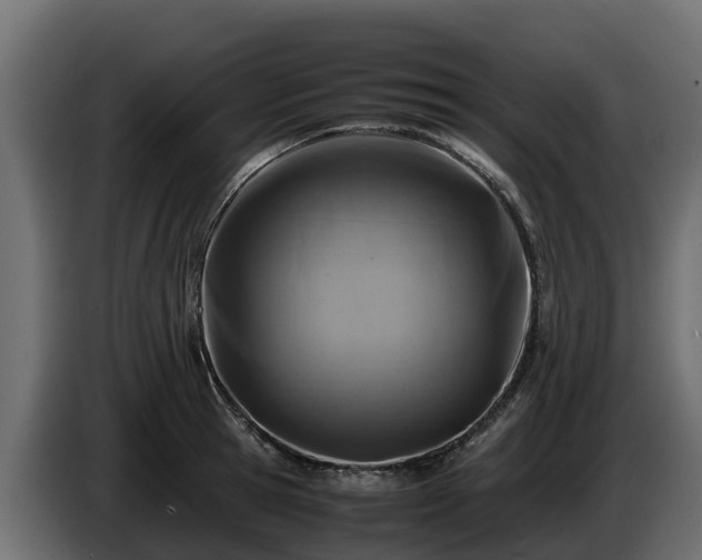 X0000085750945200703231129