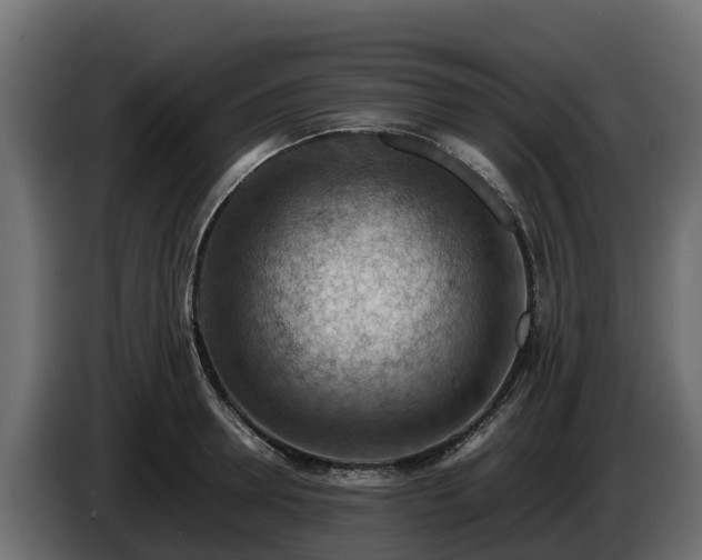 X0000085750946200703231129