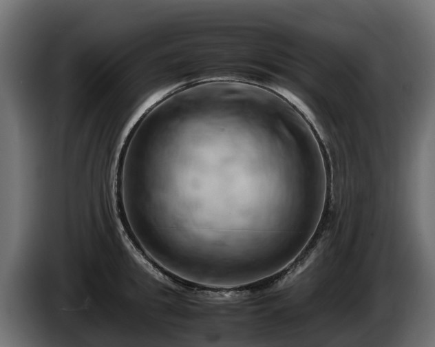 X0000085750949200703231129