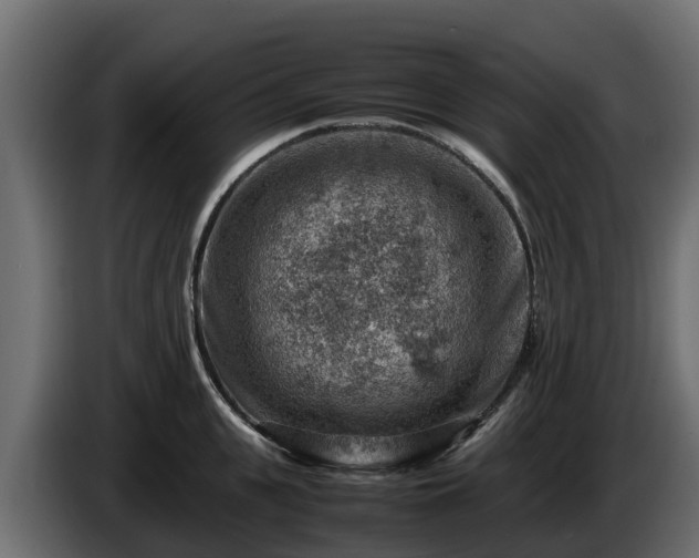 X0000085750951200703231129