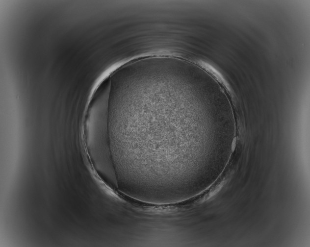 X0000085750952200703231129