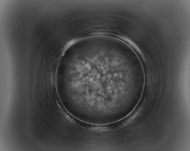 X0000085750953200703231129