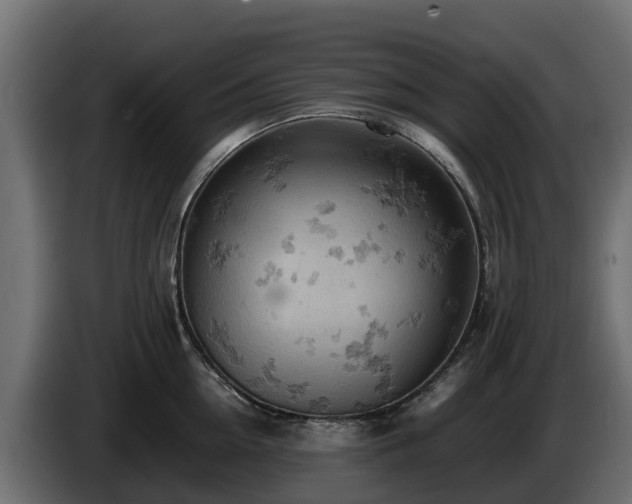 X0000085750954200703231129