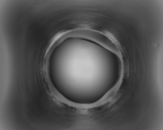 X0000085750956200703231129