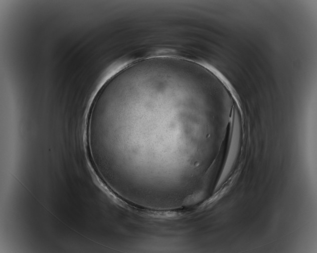 X0000085750957200703231129