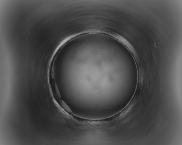 X0000085750958200703231129