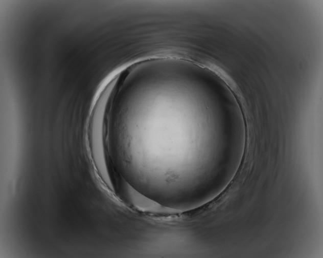 X0000085750960200703231129