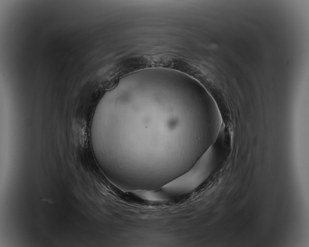 X0000085750963200703231128