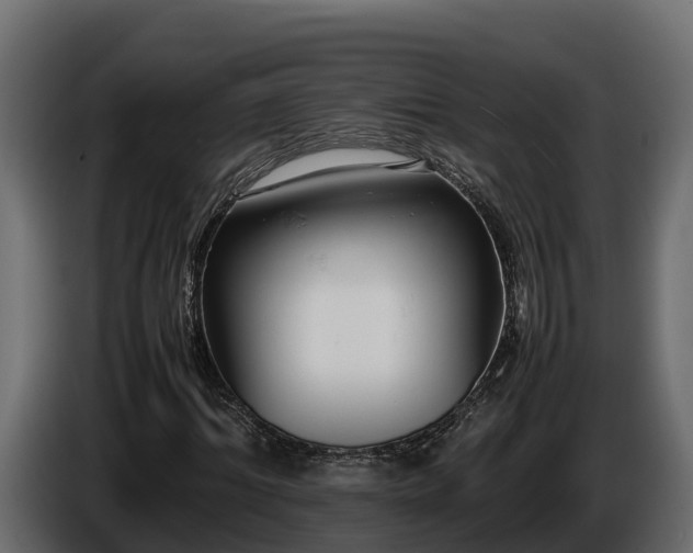 X0000085750964200703231128