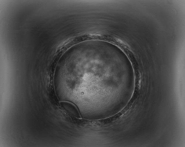 X0000085750966200703231128