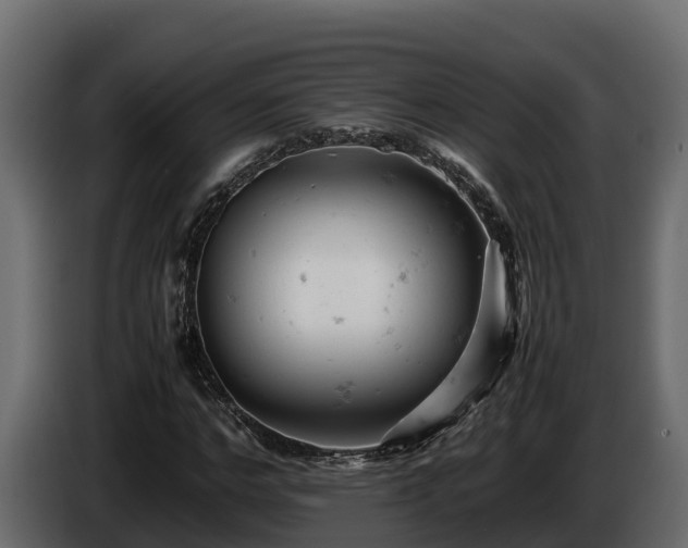 X0000085750968200703231128