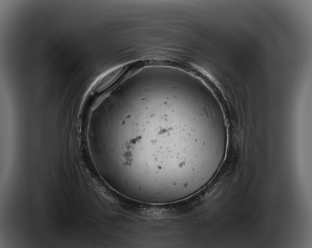 X0000085750971200703231128