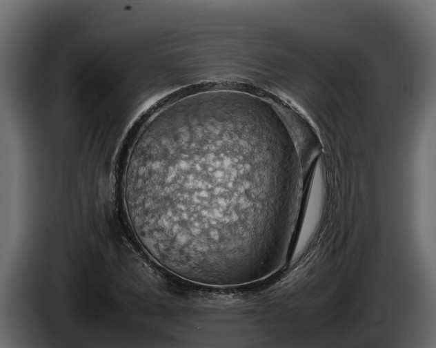 X0000085750975200703231128