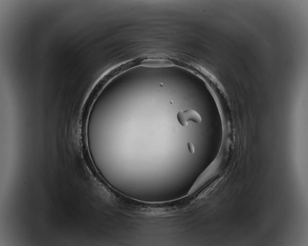 X0000085750976200703231128