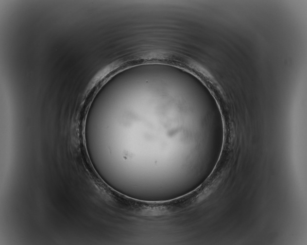 X0000085750978200703231128