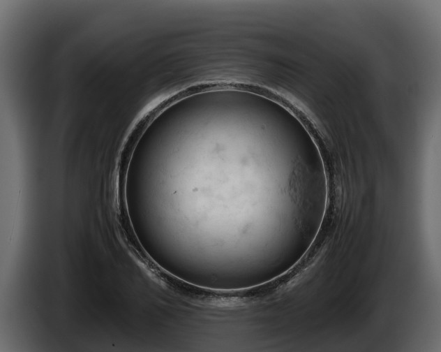 X0000085750982200703231128