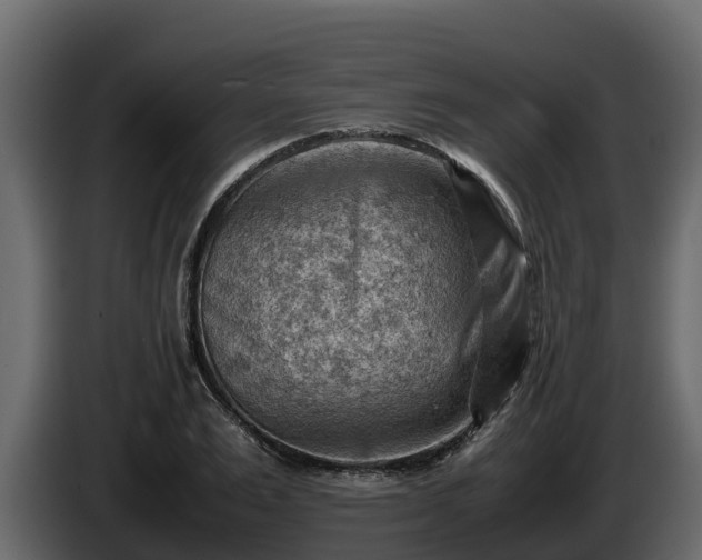 X0000085750983200703231128