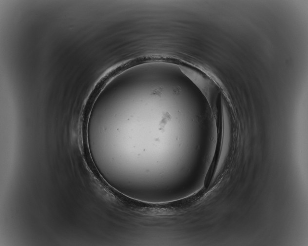 X0000085750984200703231128