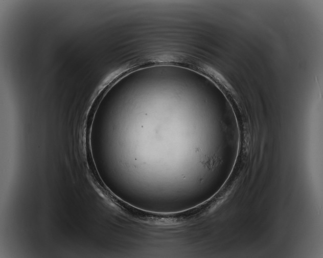 X0000085750986200703231128
