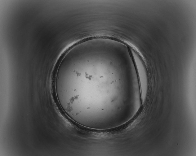 X0000085750991200703231128