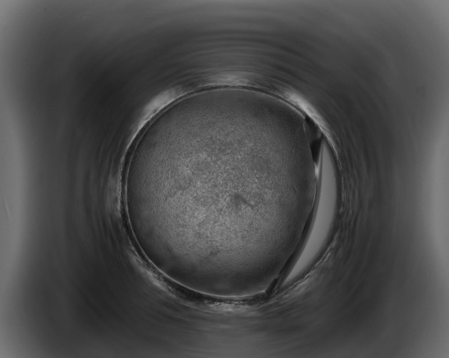 X0000085750994200703231128