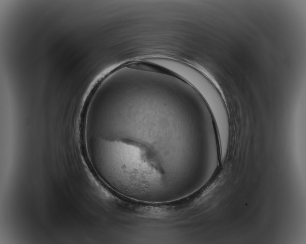 X0000085750995200703231128