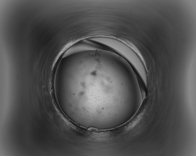 X0000085750997200703231128