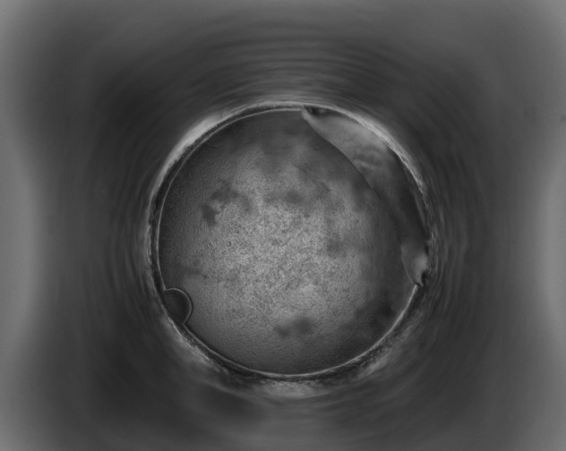 X0000085750998200703231128