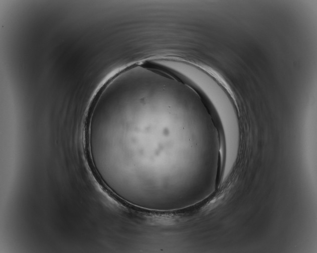 X0000085750999200703231128