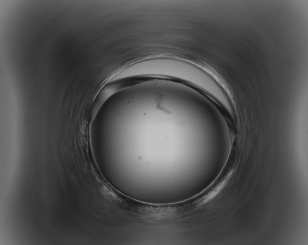 X0000085751001200703231128