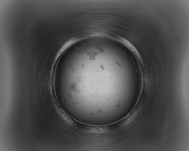X0000085751002200703231128