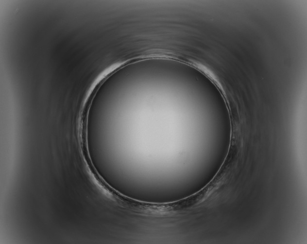 X0000085751003200703231128