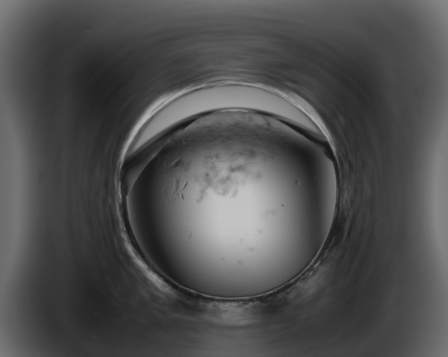 X0000085751005200703231128